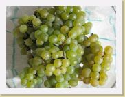 2005-10-02 13-49-15 Octobre (x1024) * 1024 x 768 * (187KB)